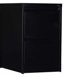 2-Drawer Shelf Office Gym Filing Storage Locker Cabinet